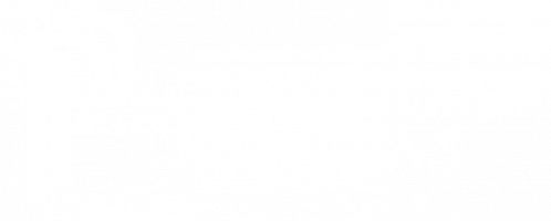 P&P CONSULTORES AUDIC S.A.S. 